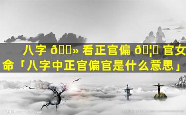 八字 🌻 看正官偏 🦅 官女命「八字中正官偏官是什么意思」
